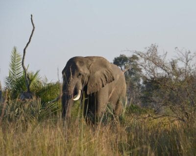 Ghanzi Botswana