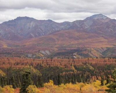 Glennallen (Alaska) Estados Unidos