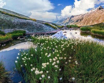 Grimsel Suiza