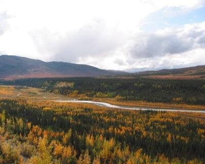 (2.) Healy AK Estados Unidos