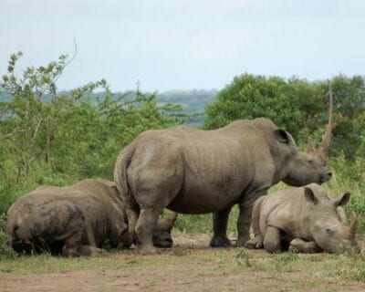 Hluhluwe National Park República de Sudáfrica