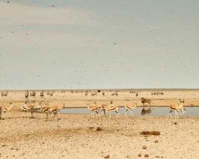 Hochfeld Namibia