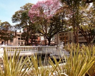 (2.) Ibagué Colombia