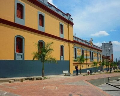 (3.) Ibagué Colombia