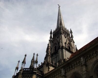 (3.) Imperatriz Brasil