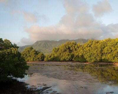 Isla Kosrae Micronesia