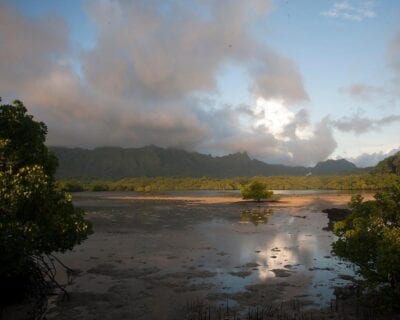 Isla Kosrae Micronesia