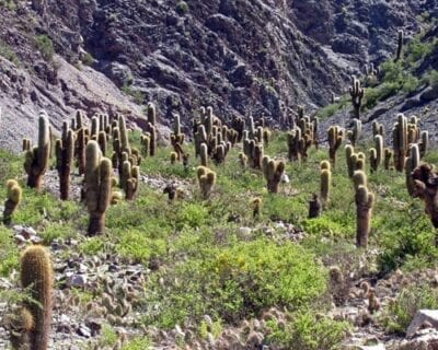 (2.) Jujuy Argentina