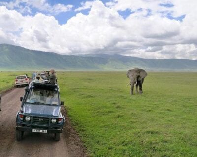 (1.) Karatu Tanzania