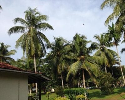 Katunayake Sri Lanka