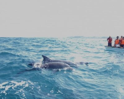 (2.) Kizimkazi Tanzania