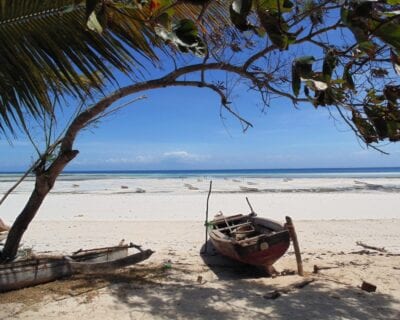 (3.) Kizimkazi Tanzania