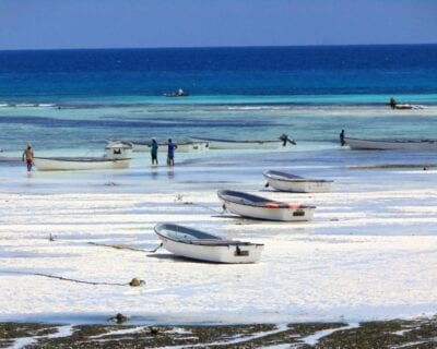 (1.) Kizimkazi Tanzania