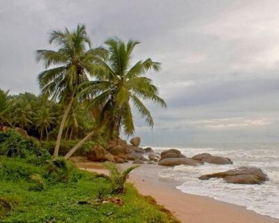 Kosgoda Sri Lanka