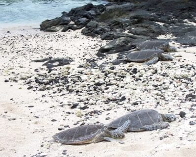 La Isla Grande (Hawaii) Estados Unidos