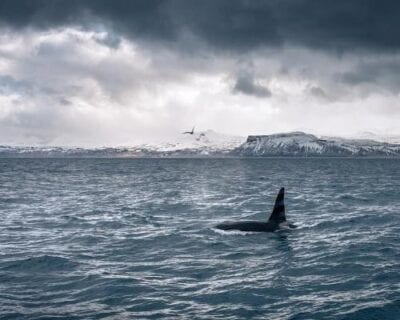 Ólafsvík Islandia