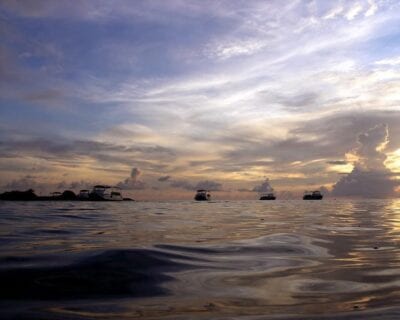 Layang Layang Malasia