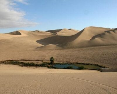 Liwa Emiratos Árabes Unidos