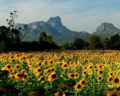 Lopburi Tailandia