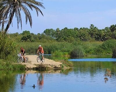 (3.) Los Cabos México