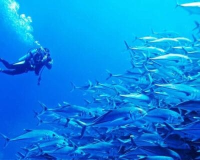 (1.) Los Cabos México