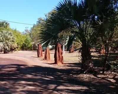 Mataranka Australia