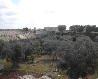 (3.) Melpignano Italia