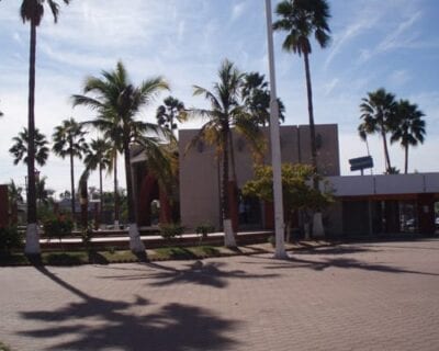 (2.) Navojoa México