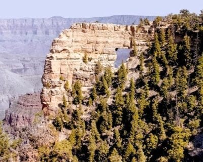 (4.) North Rim AZ Estados Unidos