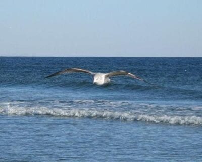 Ocean Isle Beach NC Estados Unidos