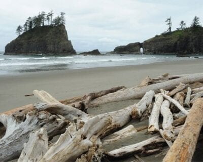 (4.) Ocean Shores WA Estados Unidos