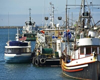 (5.) Ocean Shores WA Estados Unidos