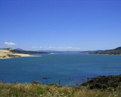 (3.) Omapere Nueva Zelanda