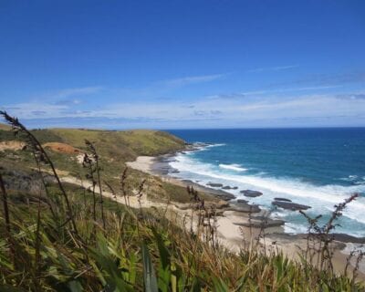 (1.) Omapere Nueva Zelanda