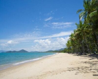 Palm Cove Australia