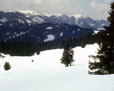 Pamporovo Bulgaria