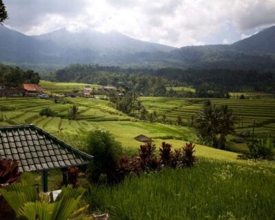 Papua Indonesia