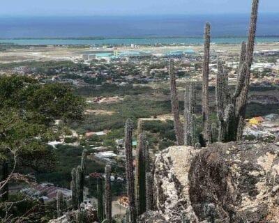 Paradera Aruba