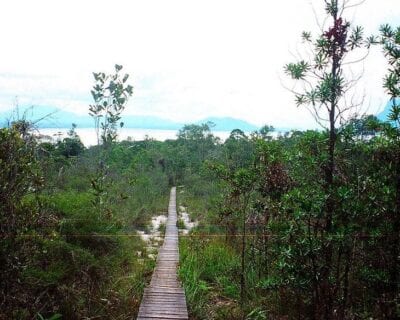 parque nacional de Bako Malasia