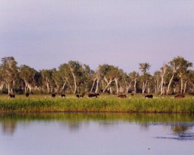 Parque nacional Kakadu Australia