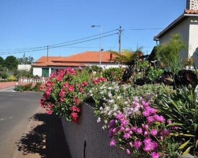 (3.) Prazeres Portugal