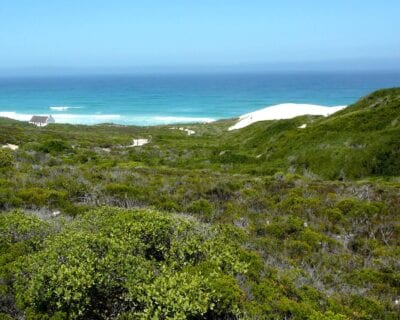 Reserva Natural De Hoop República de Sudáfrica