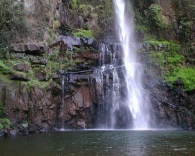 Sabie República de Sudáfrica