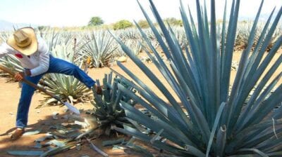 San Felipe Torres Mochas México