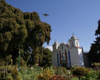 Santa Maria del Tule México