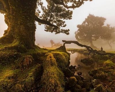 São Jorge (Madeira) Portugal