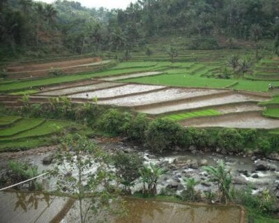 Tasikmalaya Indonesia