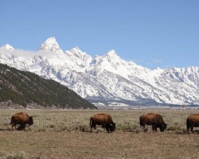 Teton Village WY Estados Unidos