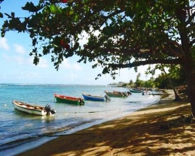 Trinité Martinica