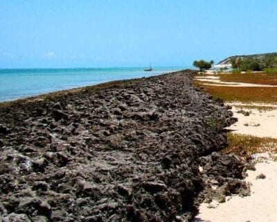 Vilanculo Mozambique